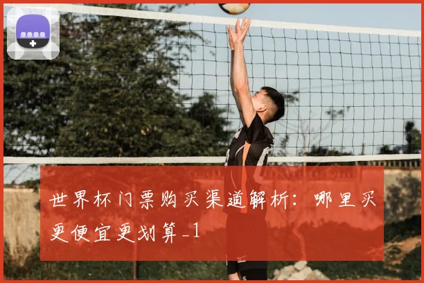 世界杯门票购买渠道解析:哪里买更便宜更划算_1