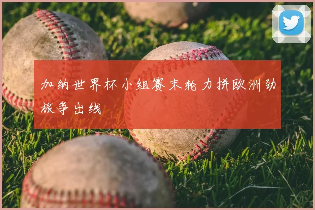 加纳世界杯小组赛末轮力拼欧洲劲旅争出线
