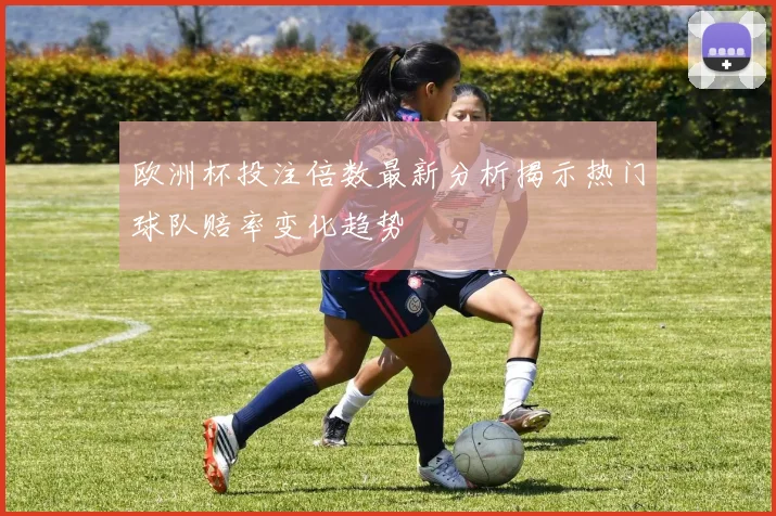 欧洲杯投注倍数最新分析揭示热门球队赔率变化趋势